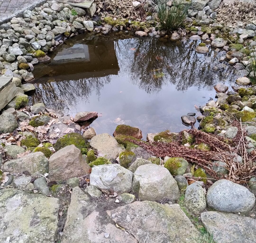Pflege eines kleinen Teiches mit ?Goldfischen?