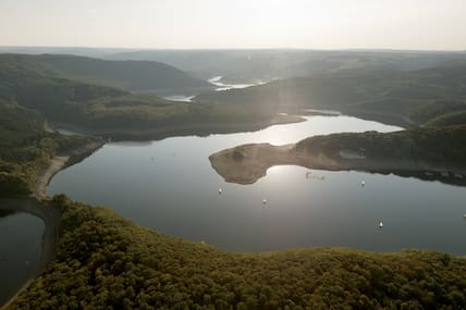 Blick auf den Rurstausee im Nationalpark Eifel.
