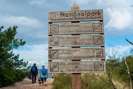 Der Nationalpark Vorpommersche Boddenlandschaft auf dem Darß – hier trifft die Ostsee auf wilde Tiere. 