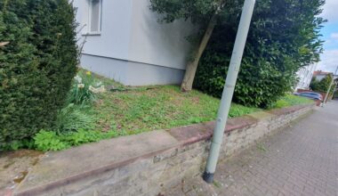 Was Pflanze ich hier und wie?