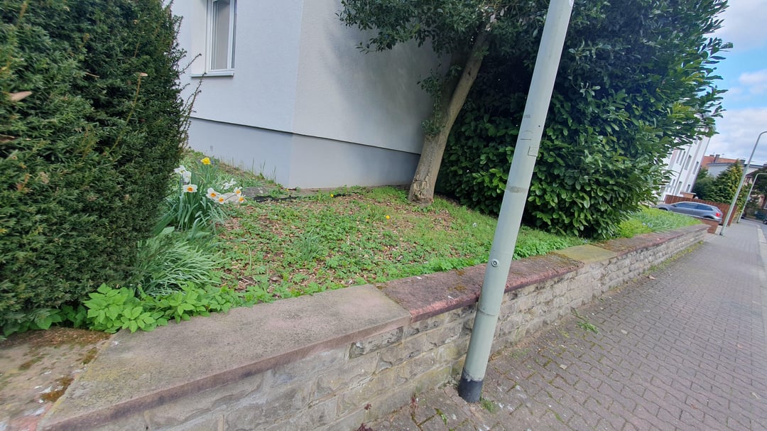 Was Pflanze ich hier und wie?