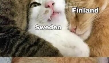 The Nordicks explained:
