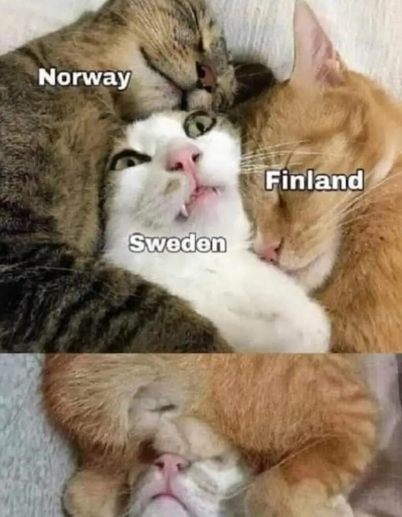 The Nordicks explained: