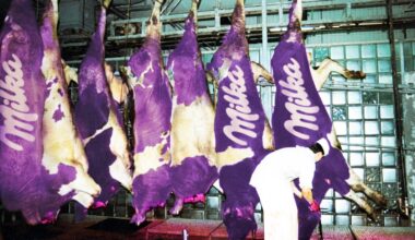 Schokoladenverkauf rückläufig: Milka eröffnet eigene Metzgereien