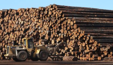 Trump's logging surge faces a host of problems
