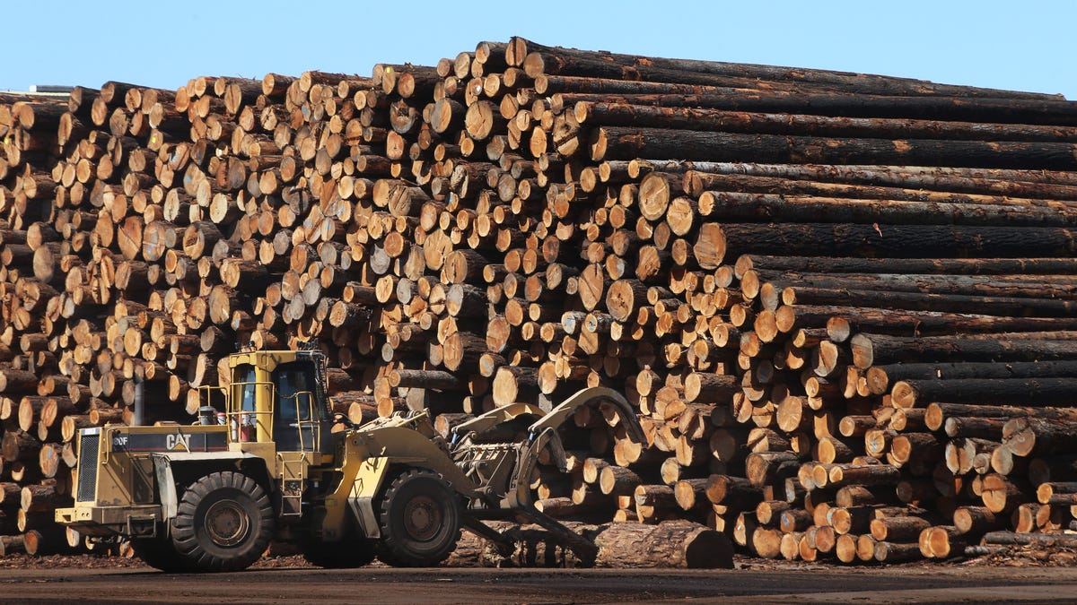 Trump's logging surge faces a host of problems