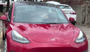 Reactions I got driving Musk's brand