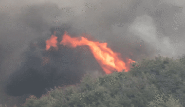 At Least 24 Killed in South Korea Wildfires