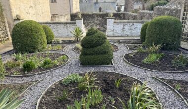 Plas Mawr in Conwy was a fascinating visit. Interesting topiary design in the courtyard…