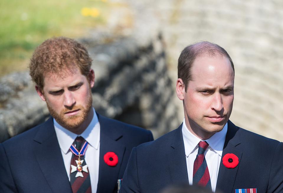 Royal fans are shocked that Harry would try to make money off his late mother. Photo: Getty