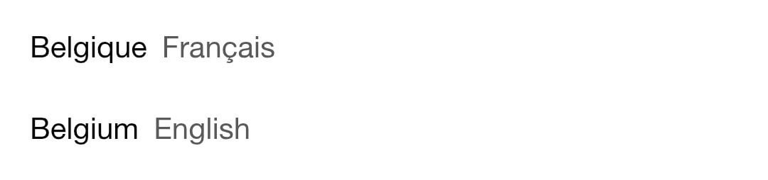 Standard language on localised websites