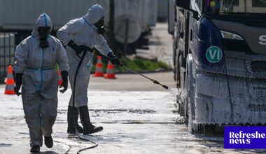 ČESKÝ MINISTER KRITIZUJE SLOVENSKO: Reaguje na prevoz utratených zvierat