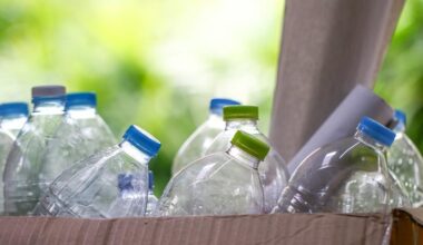 Just how bad are plastic straws for the environment?