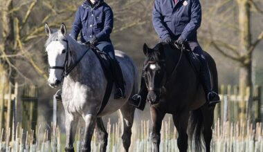 Prince Andrew appeared in good spirits today as he took a ride around the Windsor estate - as further evidence emerges relating the the Jeffrey Epstein case