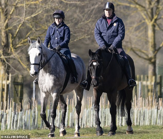 Prince Andrew appeared in good spirits today as he took a ride around the Windsor estate - as further evidence emerges relating the the Jeffrey Epstein case