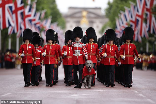 Members of the Household Division, including the regimental Irish Wolfhound mascot Turlough Mor, are seen here making their way down The Mall during the King's Birthday Parade in London
