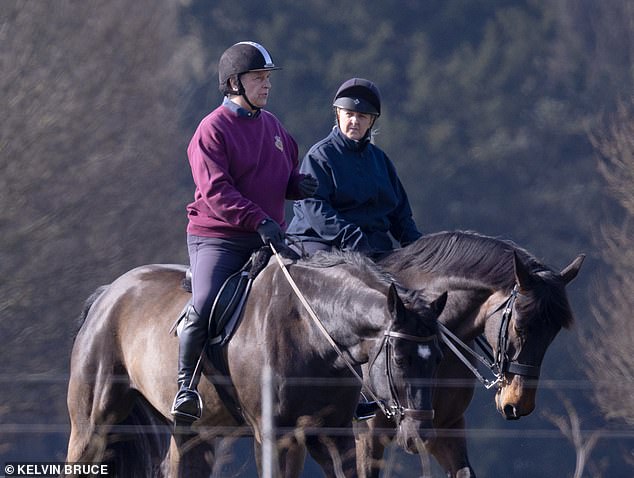 Prince Andrew took advantage of the warmer spring weather today as he headed out for his weekly ride around the Windsor estate