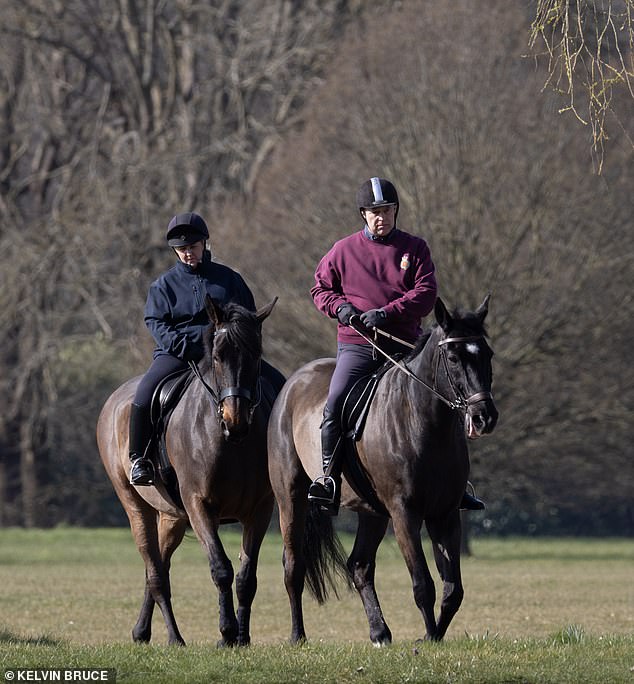 The Duke of York, 65, was without his usual puffer jacket as he embarked on an early morning trot around the sprawling Berkshire estate on Saturday