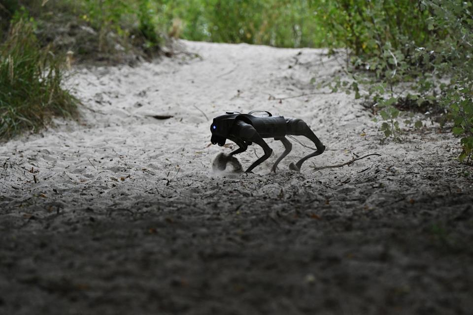File. Photograph taken on 6 August 2024 shows a robot dog during a demonstration of its capabilities at an undisclosed location in Ukraine (AFP via Getty)