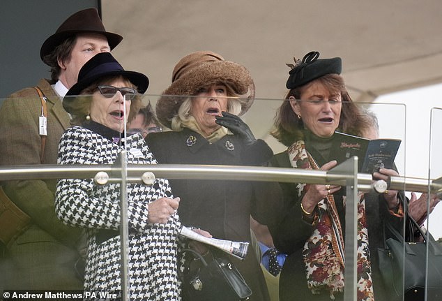 Queen Camilla (centre) watching the Turners Novices' Hurdle on day two of the 2025 Cheltenham Festival at Cheltenham Racecourse