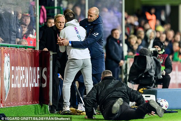 A forgotten former Premier League star stopped a pitch invader from reaching Erling Haaland