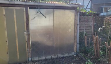 Anbau entfernen - Naturschutzgesetz Efeu