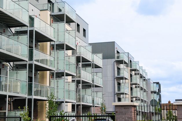 Investors eye Ireland’s student accommodation sector as demand rises, report says