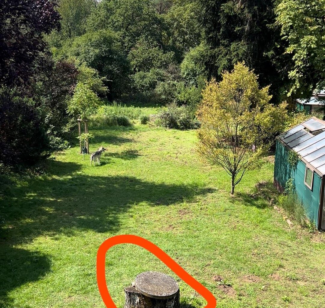 Baumideen