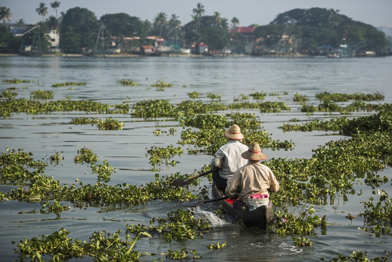 Two people paddle a boat across a waterway