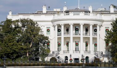 200 Jahre alte Magnolie am Weißen Haus: Trump lässt kranken Baum aus Sicherheitsgründen fällen