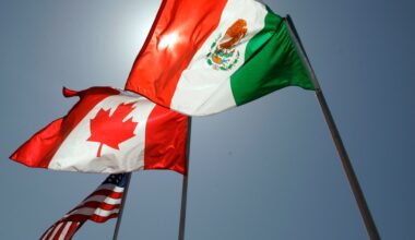 ‘Cool head’: How Mexico’s Claudia Sheinbaum is handling Trump and tariffs | Donald Trump News