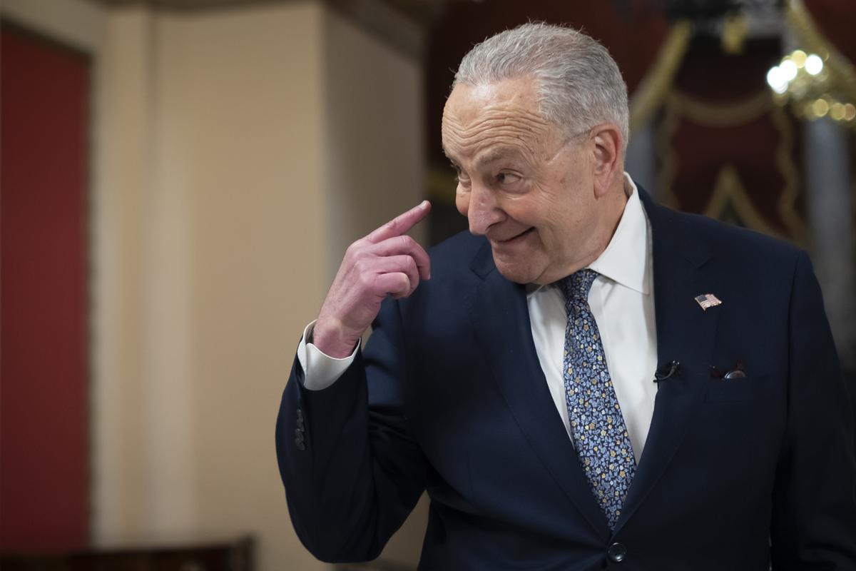 The Fault Line in Democratic Politics
