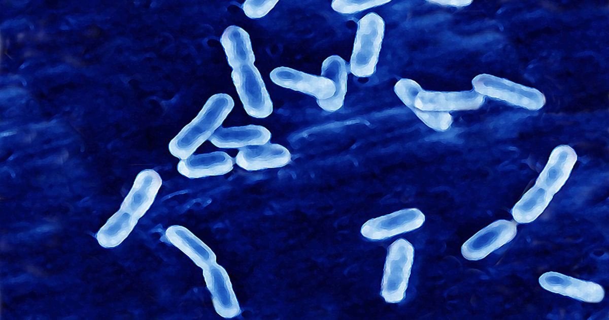 3 dead and 2 hospitalised after food poisoning outbreak linked to NHS desserts