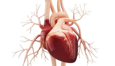 Emory team takes heart disease research to the International Space Station