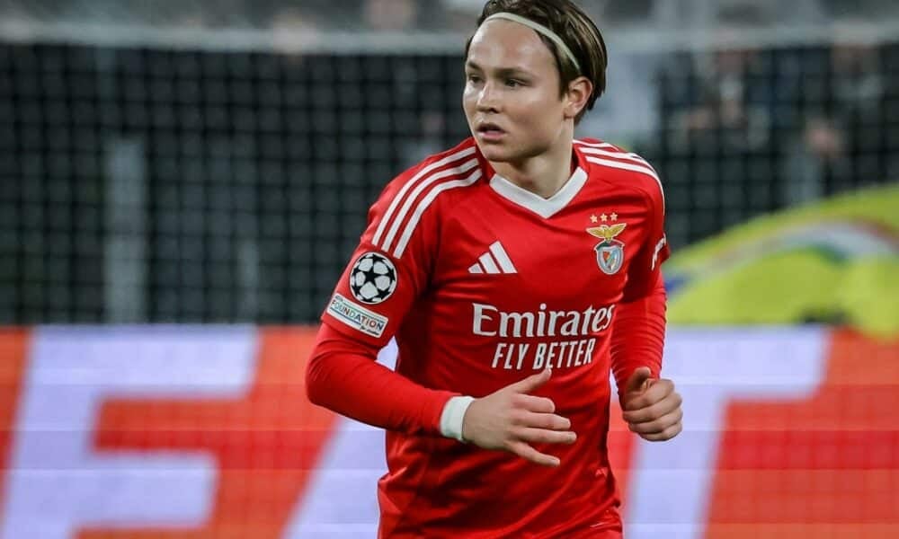 Andreas Schjelderup