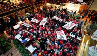 Protesters arrested after storming Trump Tower to demand release of Mahmoud Khalil