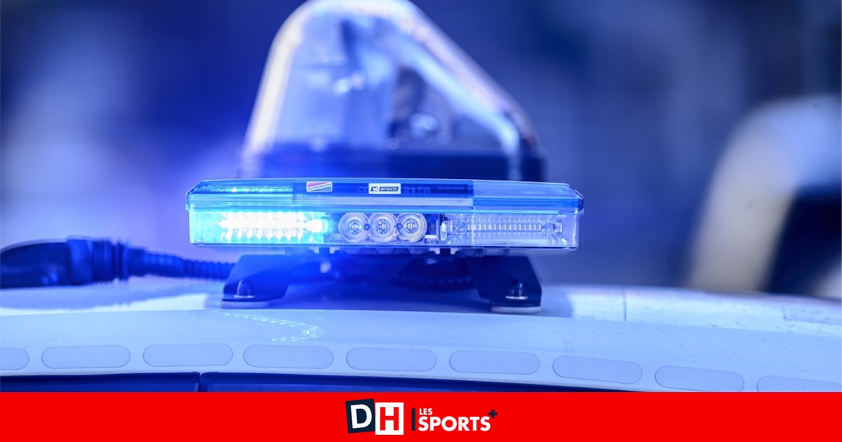 Des armes et 27 kg de cocaïne saisis lors d'une vaste opération antidrogue dans cinq pays, dont la Belgique