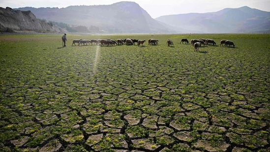 Breaching the 1.5-degree threshold represents a critical turning point for the planet, after which climate impacts become significantly more severe and widespread. (AFP/File)