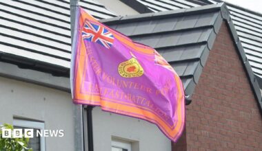 Law changes could help police remove paramilitary flags