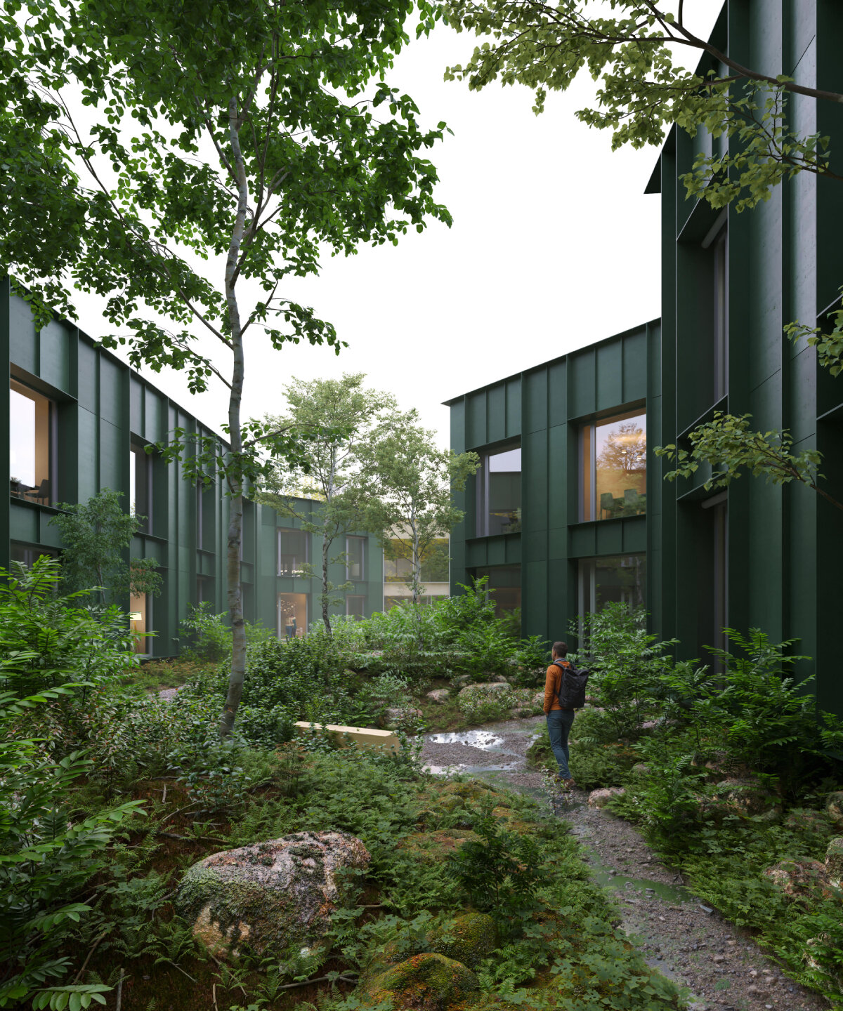 CHYBIK + KRISTOF's 'forestry in the forest' to be czech republic's largest timber structure