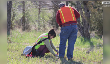 Environmental group working to make Bloomington-Normal a greener place