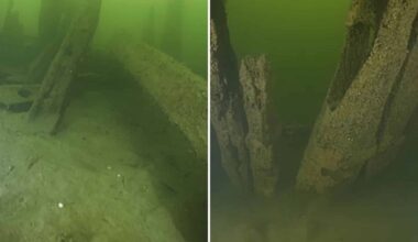 Centuries Old Shipwreck Discovered In Sweden May Be The Oldest Of Its Kind