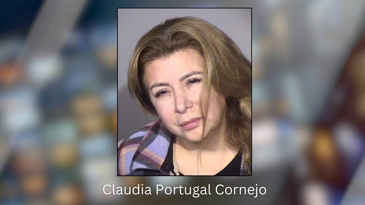 Claudia Portugal Cornejo of Fillmore sentenced to a year in jail for defrauding COVID-19 relief grants