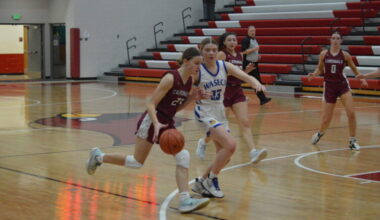 Cardinal girls return to section championship | News, Sports, Jobs