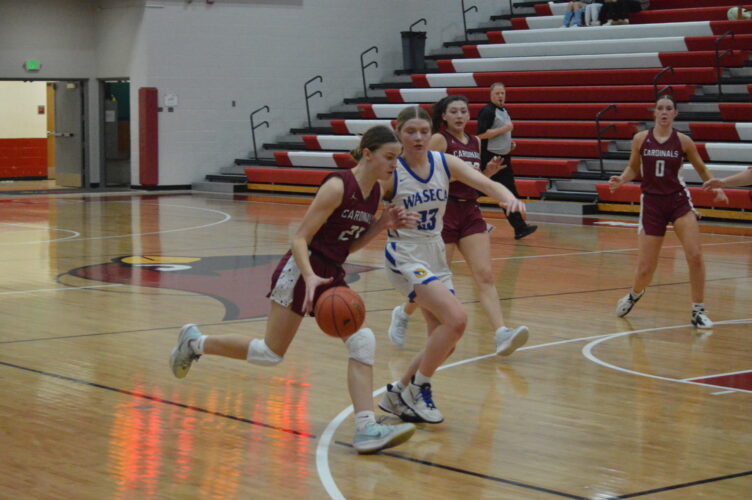 Cardinal girls return to section championship | News, Sports, Jobs