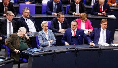 Neuer Antrag zu AfD-Verbotsverfahren im Bundestag geplant