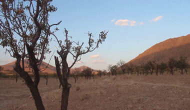 Taliban say $9.98 million approved for climate change efforts