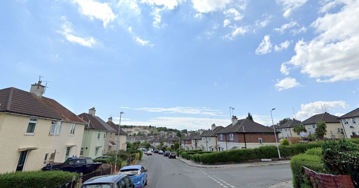 Police give descriptions of St Budeaux 'kidnap' attempt suspects