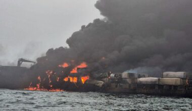 Jet fuel and sodium cyanide: How North Sea ship crash could have lethal consequences for wildlife