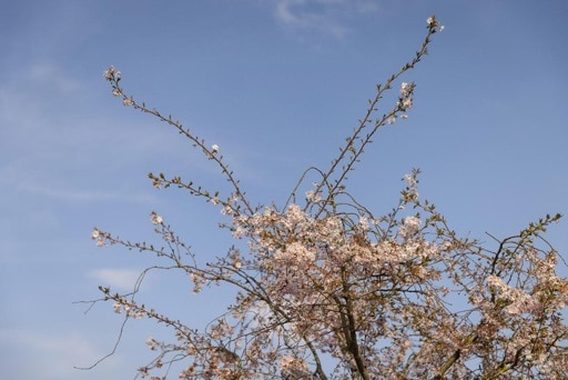 Météo - Les éclaircies se poursuivront mardi